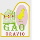 GAO ORAVIO logo